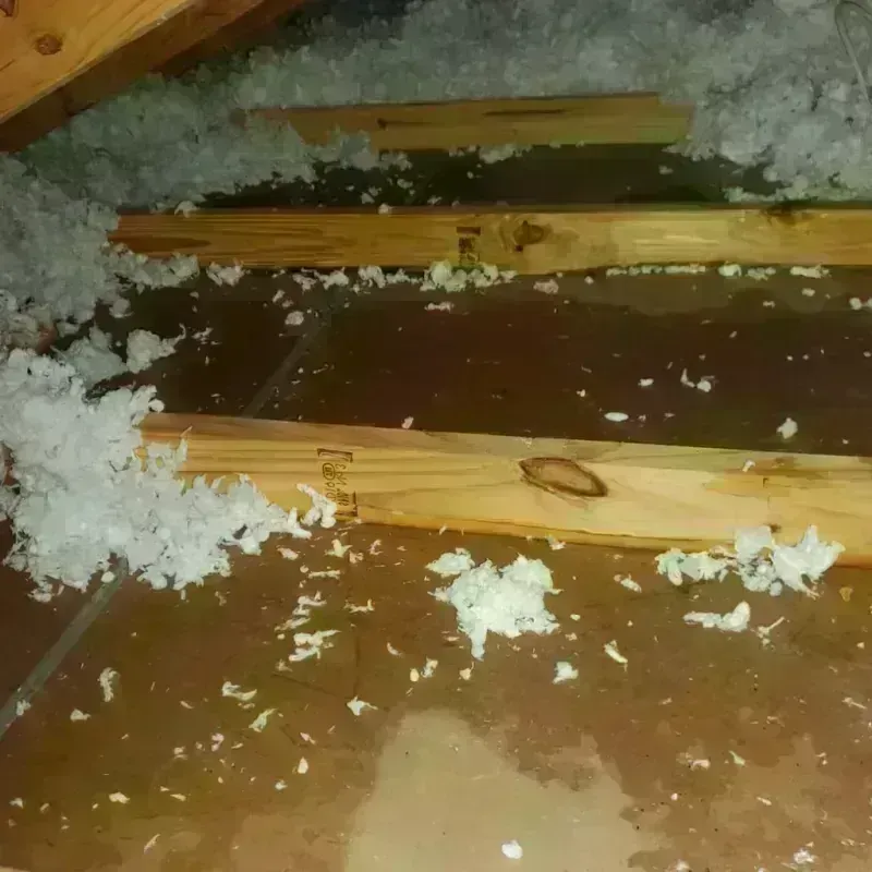 Attic Water Damage in Thermalito, CA