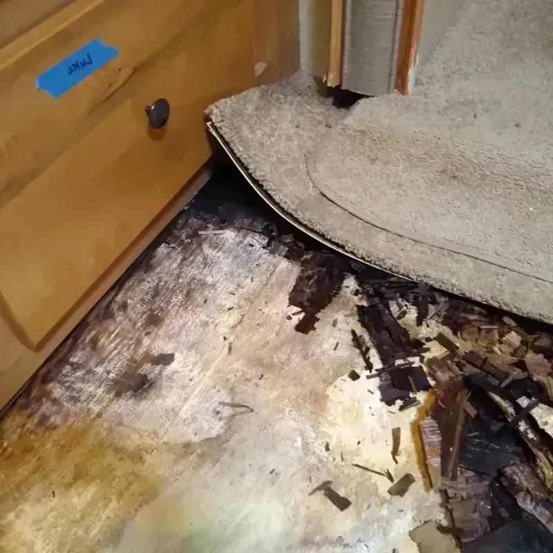 Wood Floor Water Damage in Thermalito, CA